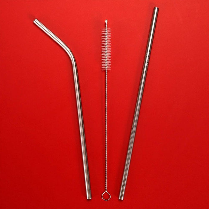 VINSANI STAINLESS STEEL STRAWS - Reusable, Durable, Environmentally Friendly - Set of 2