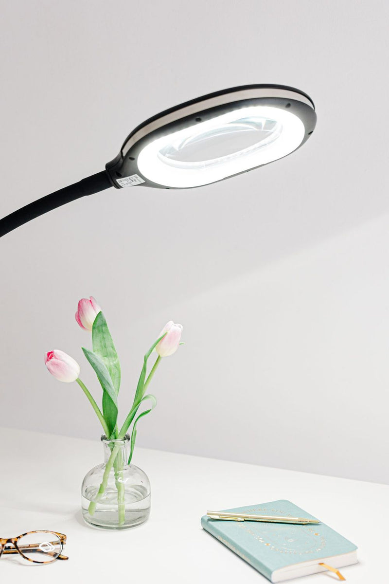 3in1 Floor Magnifier