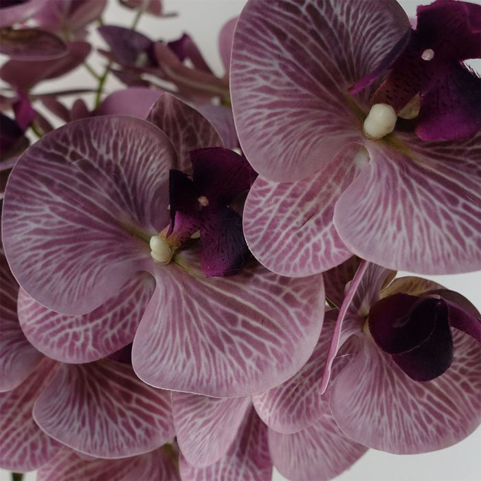 Pack of 6 x 100cm Artificial Phalaenopsis Orchid Purple Stem - 42 Flowers