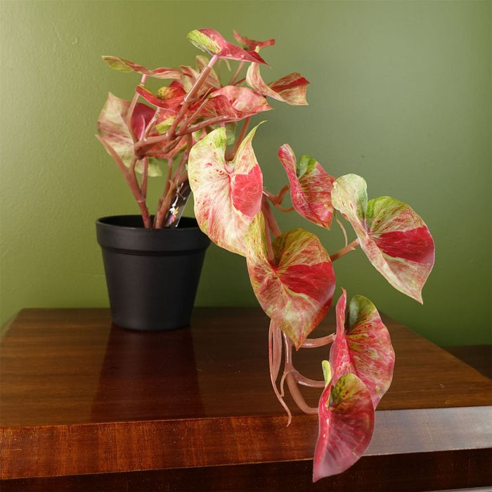 Premium Quality 30cm Artificial Pink Caladium Trailing Plant - Realistic Faux Plant for Home Decor