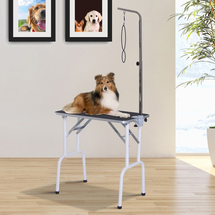 PawHut 32" Foldable Dog Grooming Table Pet Drying Beauty Table Adjustable Fixed Arm Rubber Top for Small Dogs