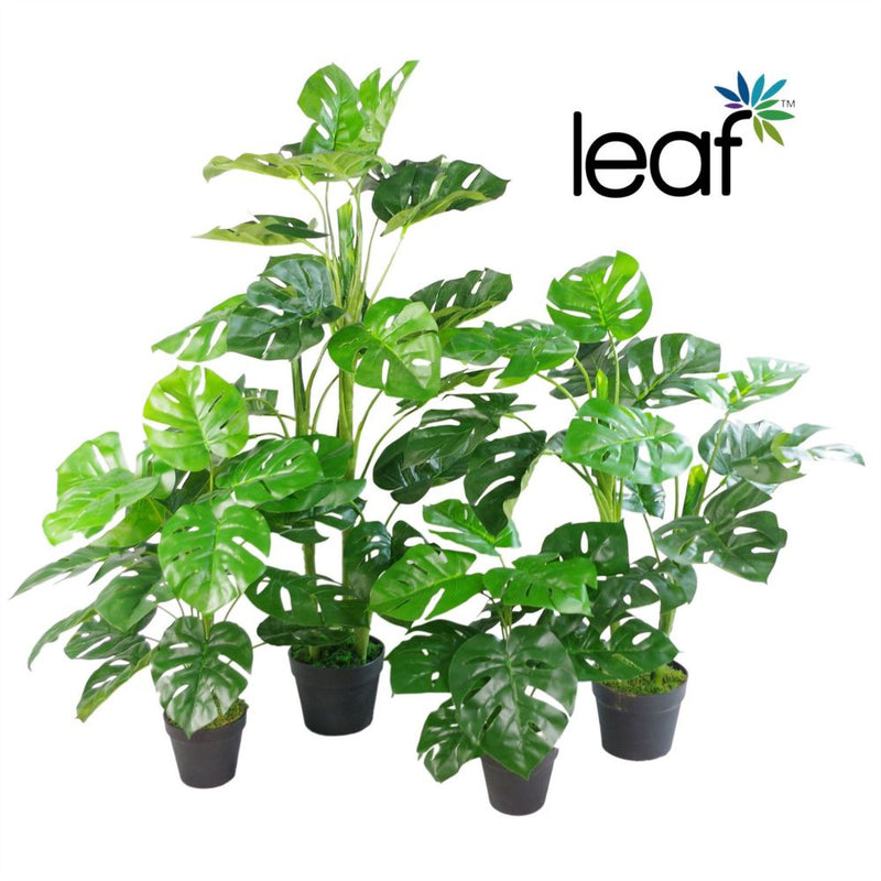 Realistic Monstera Plant - 100cm Height
