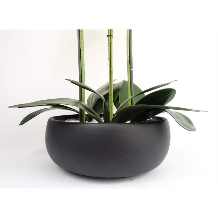 Artificial Yellow Orchid in Black Ceramic Planter - 60cm