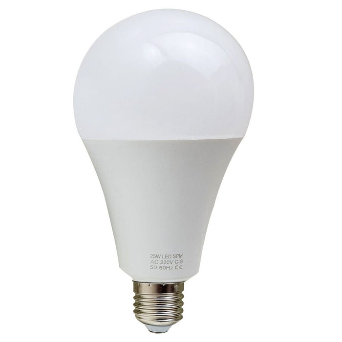 25W E27 Screw LED Light GLS bulbs, Energy Saving Edison  Cool White 6000K non dimmable lights