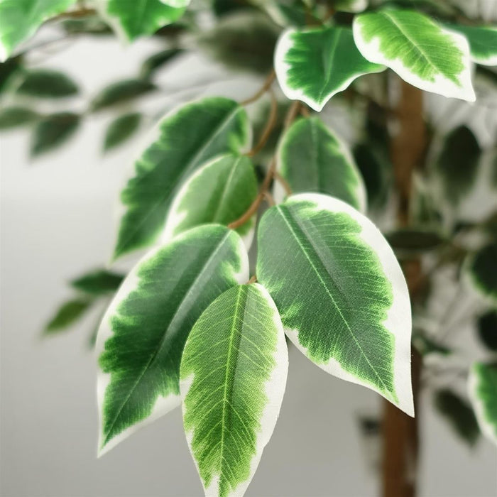 Premium 150cm Ficus Tree - 1008 Silk Leaves - Realistic & Maintenance-Free