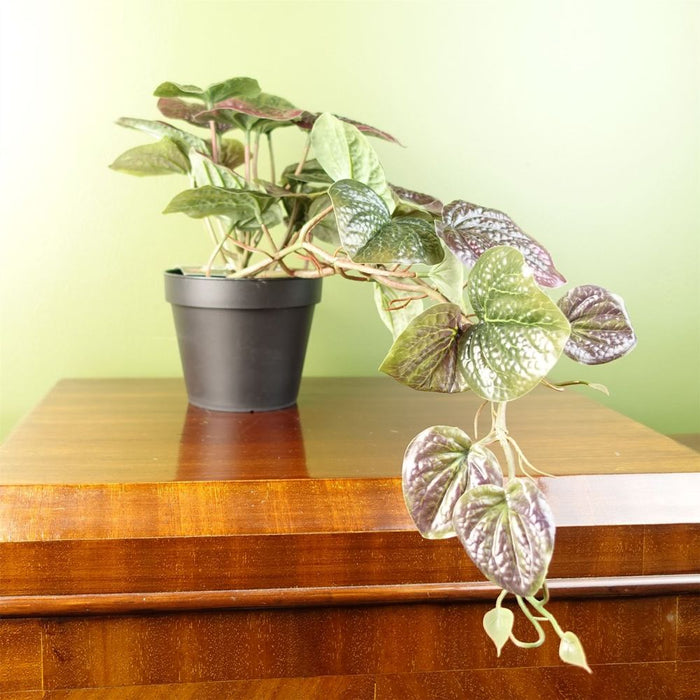 35cm Purple Potted Pothos Plant - Realistic Artificial Trailing Foliage