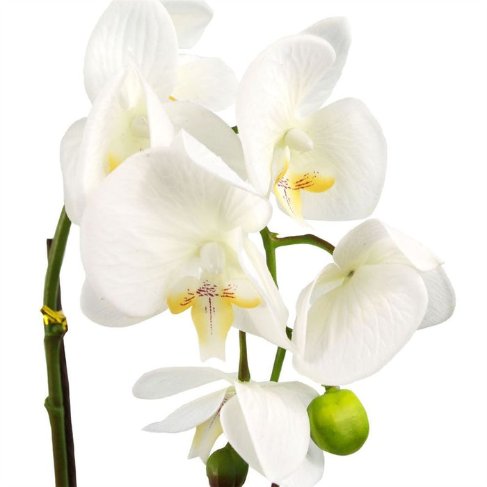 46cm Artificial Orchid White / Gold