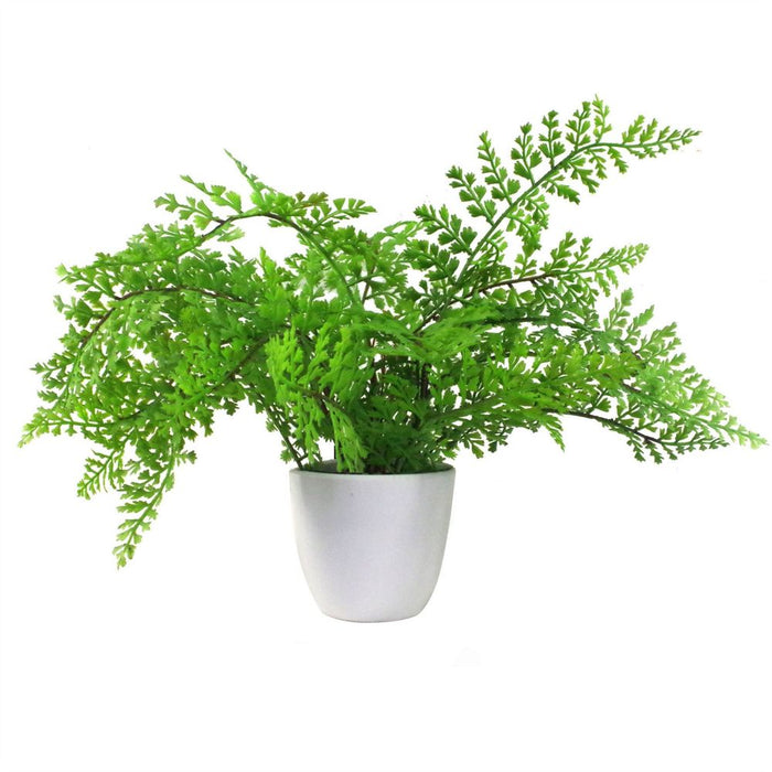 Premium 30cm Artificial Potted Royal Fern - Realistic & High-Quality Indoor Plant