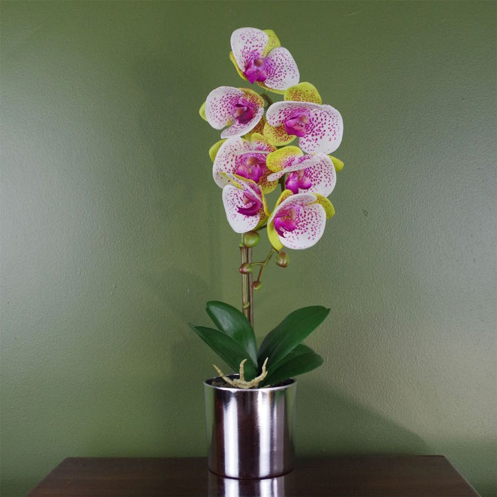 Luxury 46cm Artificial Harlequin Pink Orchid | Silver Pot