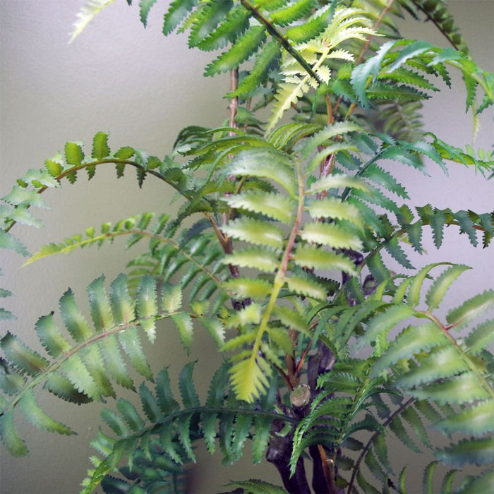 Realistic 70cm Artificial Tree Fern with Decorative Planter