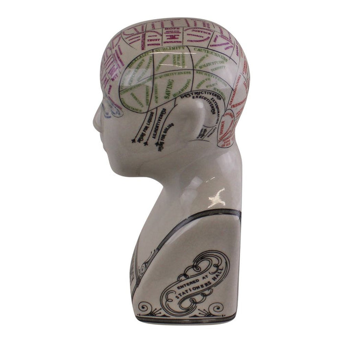 Premium Quality Small Ceramic Crackle Phrenology Head