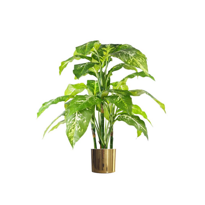 100cm Large Fox's Aglaonema Realistic Tree Artificial Plant with Gold Metal Planter