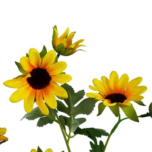 https://images.avasam.com/?url=https://avasamnew.s3.amazonaws.com/product/GB010188/S0671589544/5.png&w=500