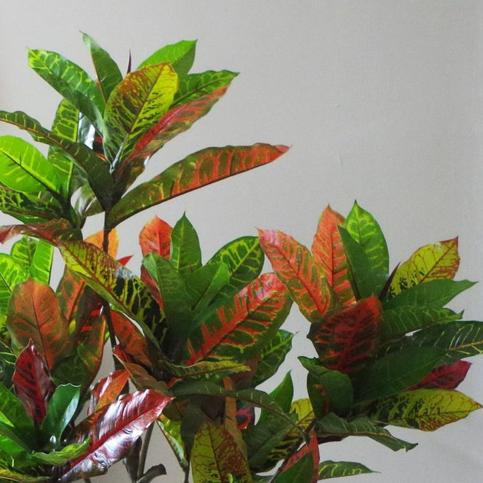 Stunning 130cm Artificial Codiaeum Multicoloured Tree - Realistic and Low-Maintenance Indoor Decoration (Plastic Pot Included)