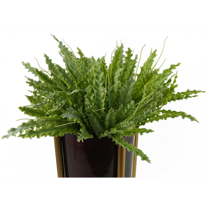 Premium Quality 40cm Artificial Crocodile Fern Plant