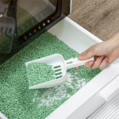 https://images.avasam.com/?url=https://avasamnew.s3.amazonaws.com/live//202407081517310833_d7b13613-98e3-40d6-b66a-625ea57dcced.jpg&w=500