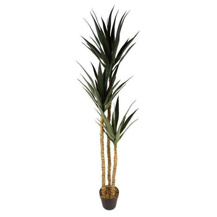 XL 170cm Artificial Triple Yukka Tree - High Quality Tropical Plant