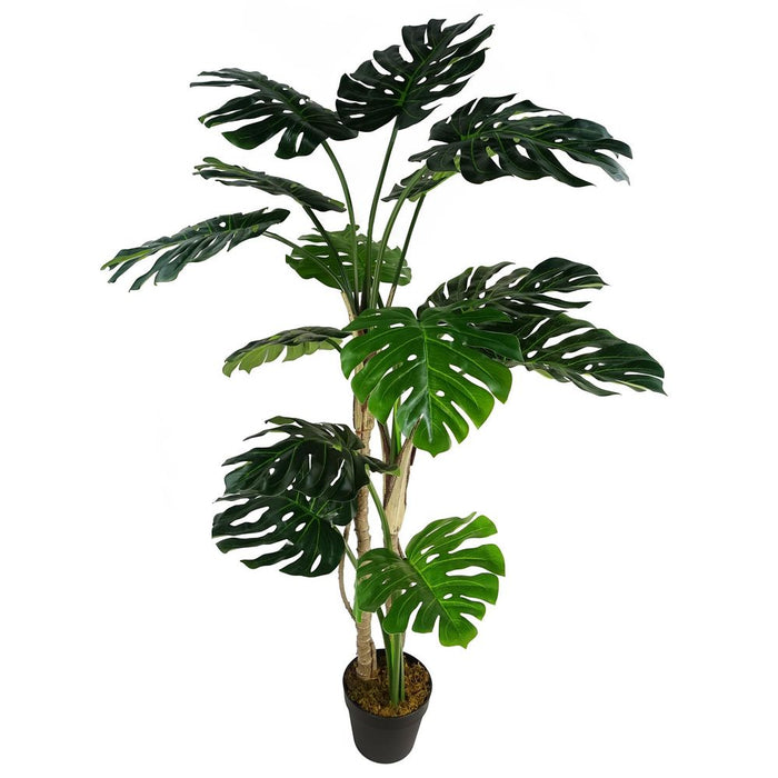 150cm Luxury Monstera Plant - Realistic, Black Pot