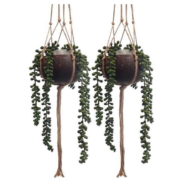 Boho Chic Coconut Shell Plant Holders - Set of 2, Macrame Hanging Ropes - Eco-Friendly, Durable