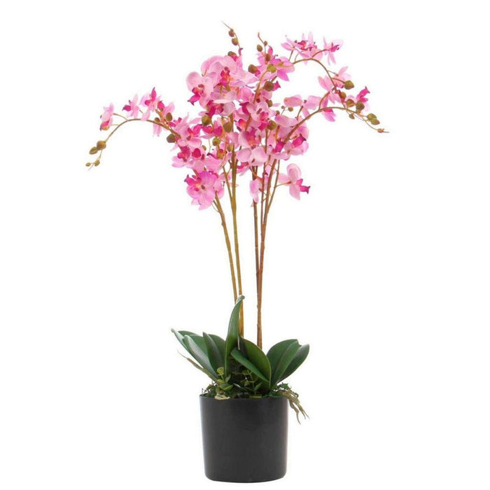 60cm Leaf Design UK Realistic Artificial Orchid Flower Display in Pot