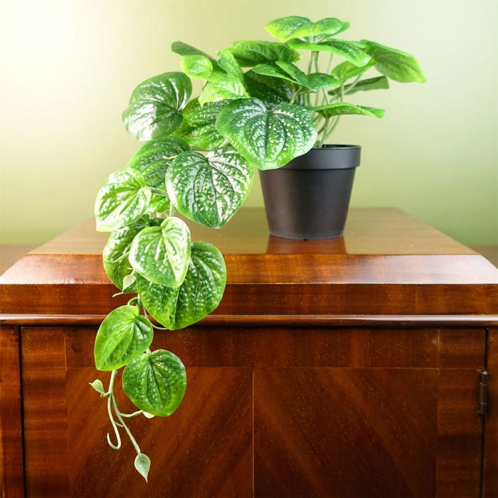 35cm Artificial Trailing Natural Pothos Plant - Realistic Quality - Luxurious Potted Display