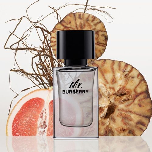Burberry Mr Burberry Eau De Toilette Spray 50ml