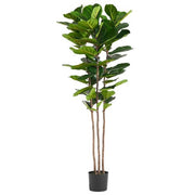 https://images.avasam.com/?url=https://avasamnew.s3.amazonaws.com/product/GB010188/S0671530112/main.png&w=500