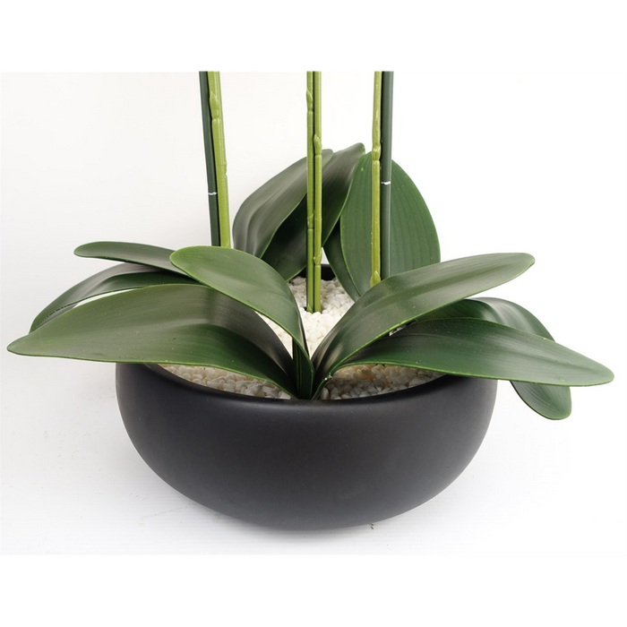 Artificial Yellow Orchid in Black Ceramic Planter - 60cm