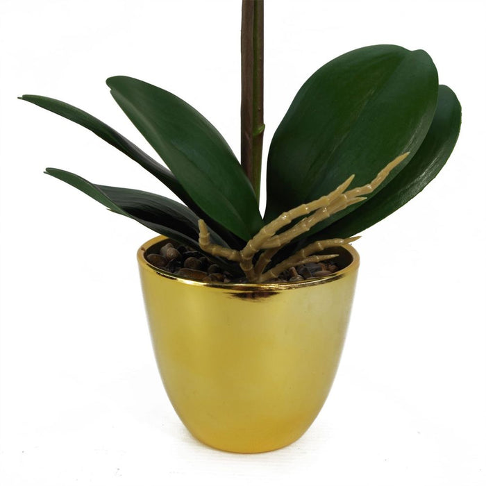 Premium 48cm Golden Orchid - Real Touch Yellow Flowers with Gold Pot