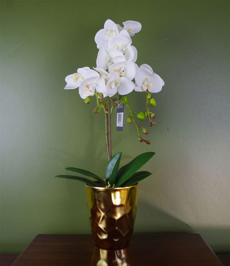 Captivating White 54cm Artificial Orchid in Gold Pot - Lifelike, Real Touch Flowers - Perfect for Any Space!