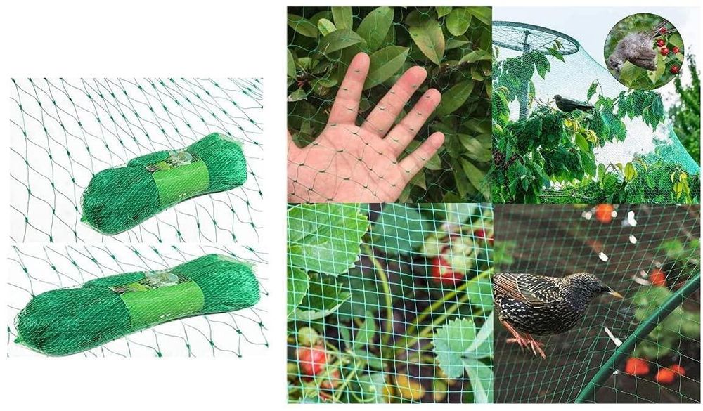 GARDEN NETTING ANTI BIRD VEG FRUIT PLANT POND NET PROTECTION WATER. VARIATION[Birds,1 X PCS,2 X 10 M]