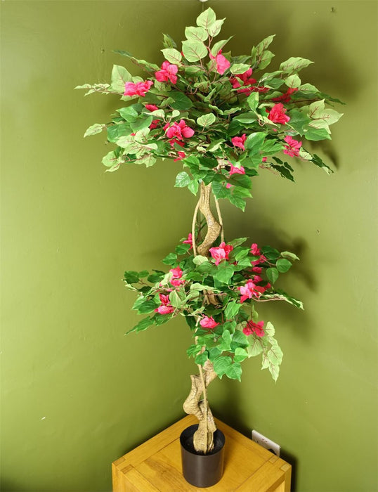 150cm Pink Japanese Silk Bougainvillea Tree: High Quality, Exquisite Beauty