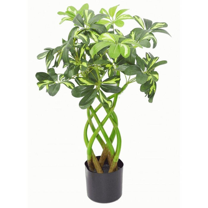 Stunning 70cm Artificial Twisted Stem Modern Arboricola Bonsai Bush, High Quality Silk Leaves