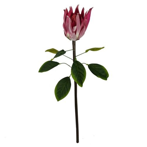 https://images.avasam.com/?url=https://avasamnew.s3.amazonaws.com/product/GB010188/S0671589520/1.png&w=500