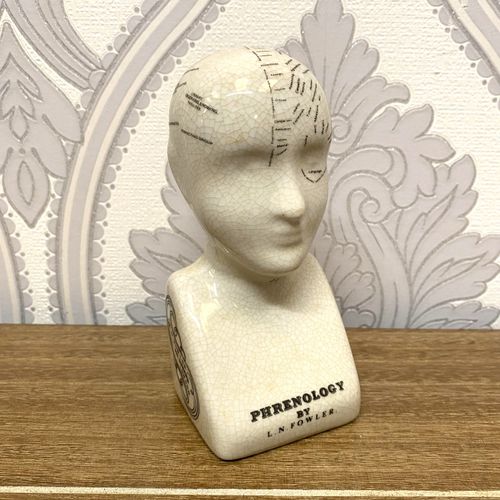 6" PHRENOLOGY HEAD CERAMIC