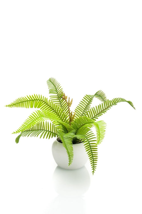 Artificial Boston Fern Potted Plant Green 17cm - Lifelike Indoor Decor - No Maintenance Required