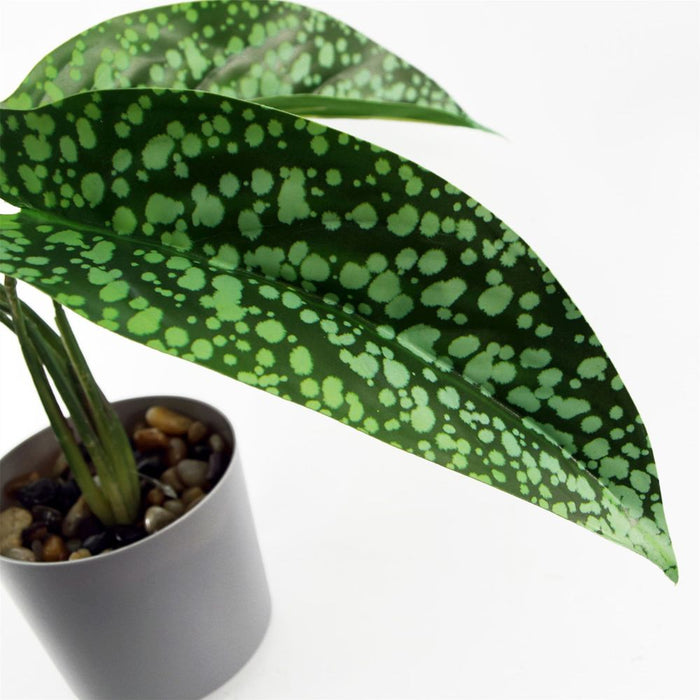 35cm Artificial Spotted Plant in Planter