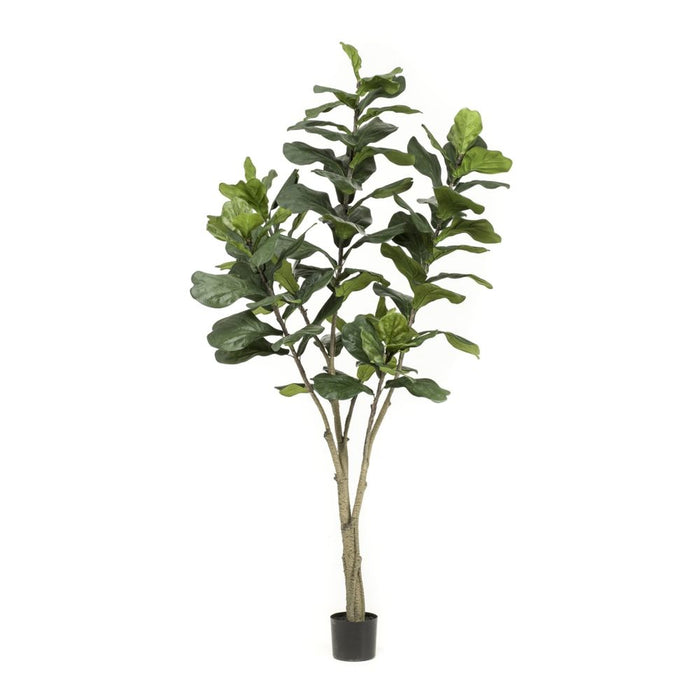 Stunning 7ft Artificial Ficus Lyrata Tree Green - Realistic Indoor Decor - Fast Shipping