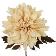 https://images.avasam.com/?url=https://avasamnew.s3.amazonaws.com/product/GB010188/S0671589521/2.png&w=500