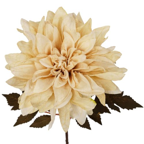 https://images.avasam.com/?url=https://avasamnew.s3.amazonaws.com/product/GB010188/S0671589521/2.png&w=500