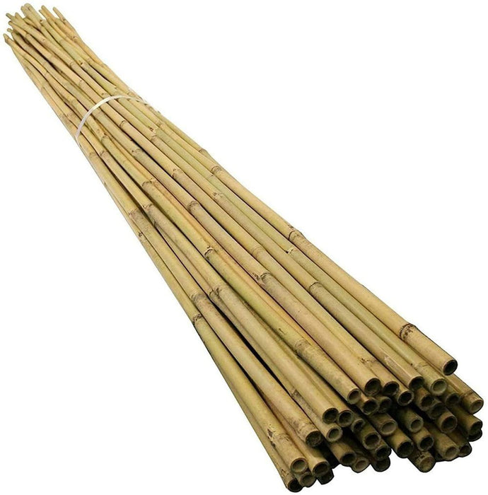 25 x 2ft (60cm) Premium Bamboo Canes - Perfect for Gardening