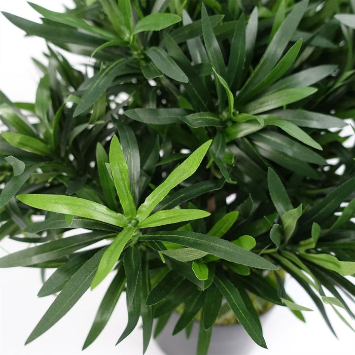 Premium 40cm Podocarpus Bush: Best Quality + Natural Trunk + Silk Leaves + Wired Branches