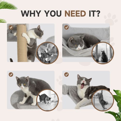 https://images.avasam.com/?url=https://avasamnew.s3.amazonaws.com/live//KKVczECX1WIuyzLVEtdnMwaosom32V2Vvc-HIF5y19gfuTaTkWcvARlpJVu7ZT9MT_Qj24.jpg&w=500