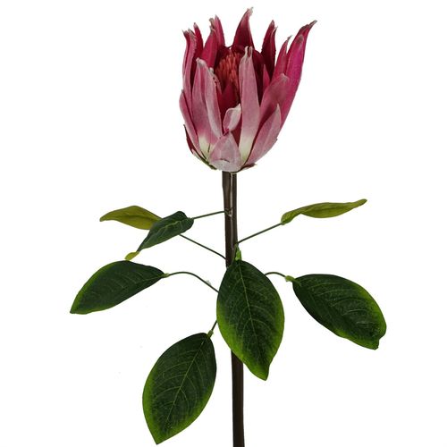 https://images.avasam.com/?url=https://avasamnew.s3.amazonaws.com/product/GB010188/S0671589520/2.png&w=500