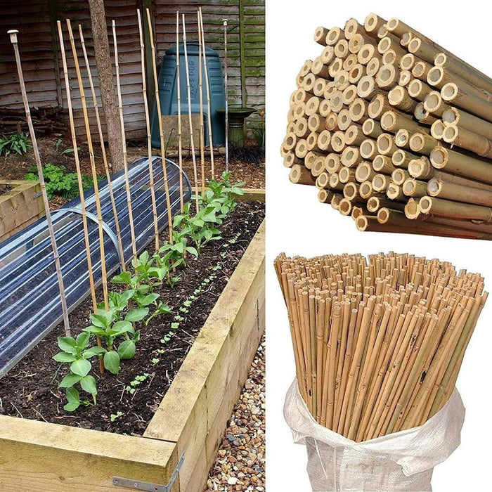 Bamboo Garden Canes - 10 x 6FT (180cm), Quality & Eco-Friendly