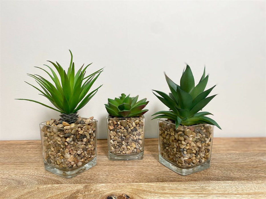 Realistic Faux Succulents in Glass Pots