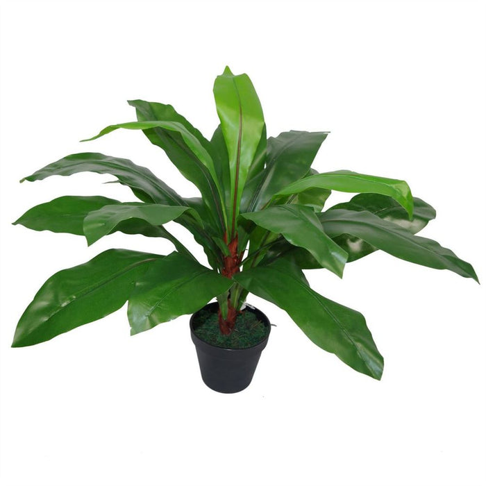 Premium 60cm Artificial Bird's Nest Fern - Large & Lifelike