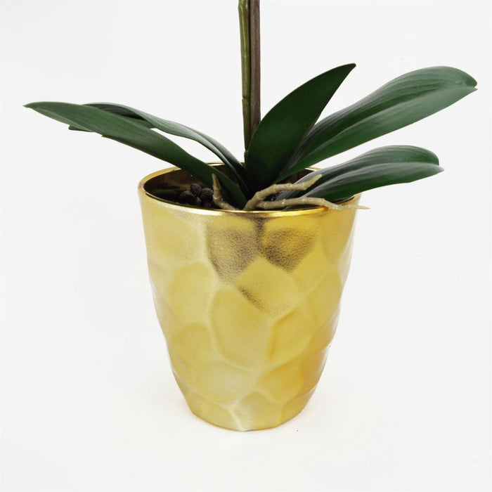 54cm Artificial Orchid Plant - White with Gold Pot