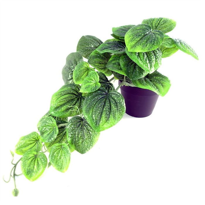 35cm Artificial Trailing Natural Look Potted Pothos Plant Realistic