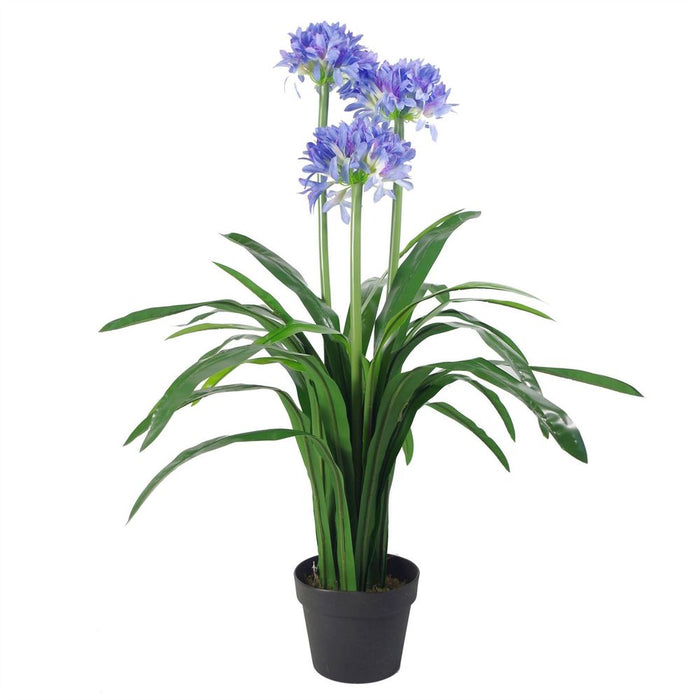 Premium Artificial Agapanthus - 90cm Blue Flower with Pot